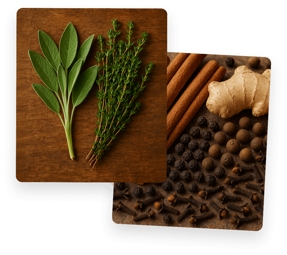 EXPERIMENT AND INNOVATE